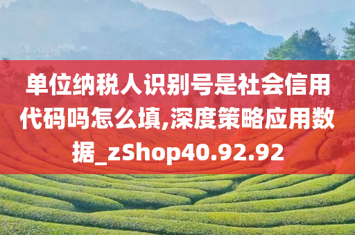 单位纳税人识别号是社会信用代码吗怎么填,深度策略应用数据_zShop40.92.92