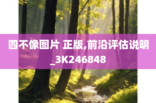 四不像图片 正版,前沿评估说明_3K246848