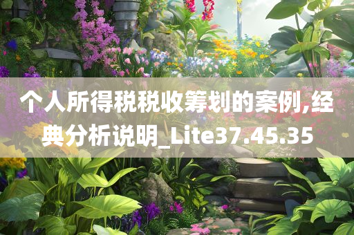 个人所得税税收筹划的案例,经典分析说明_Lite37.45.35