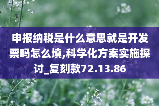 申报纳税是什么意思就是开发票吗怎么填,科学化方案实施探讨_复刻款72.13.86