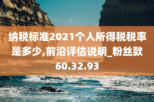 纳税标准2021个人所得税税率是多少,前沿评估说明_粉丝款60.32.93