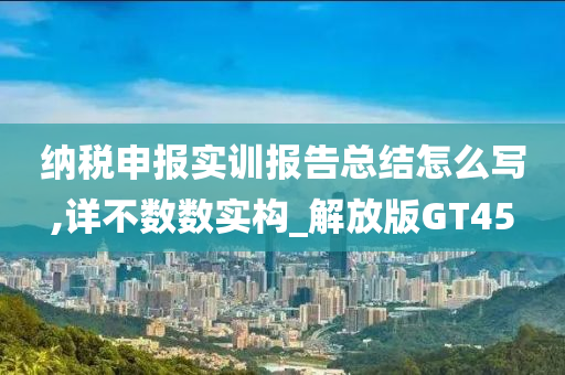 纳税申报实训报告总结怎么写,详不数数实构_解放版GT45