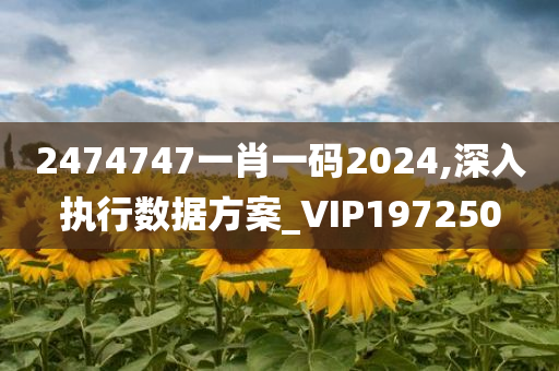 2474747一肖一码2024,深入执行数据方案_VIP197250