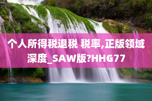 个人所得税退税 税率,正版领域深度_SAW版?HHG77