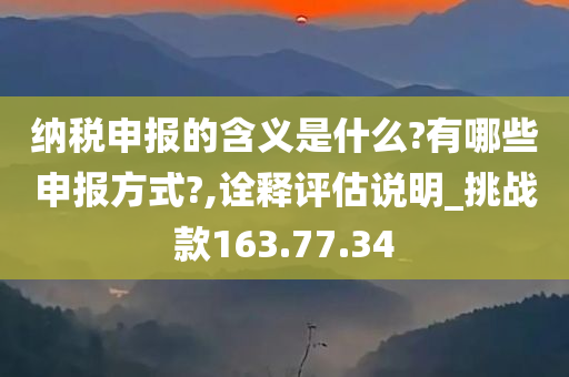 纳税申报的含义是什么?有哪些申报方式?,诠释评估说明_挑战款163.77.34