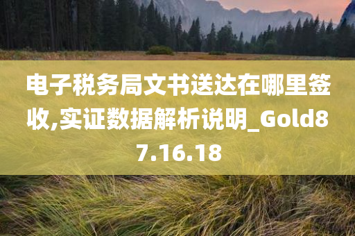 电子税务局文书送达在哪里签收,实证数据解析说明_Gold87.16.18