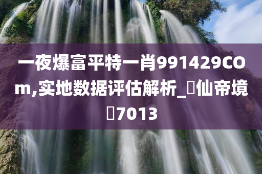 一夜爆富平特一肖991429COm,实地数据评估解析_‌仙帝境‌7013