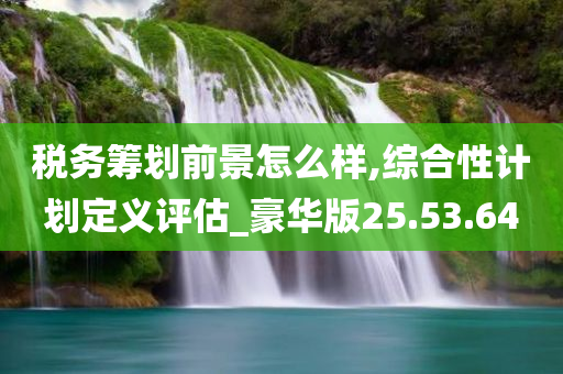 税务筹划前景怎么样,综合性计划定义评估_豪华版25.53.64