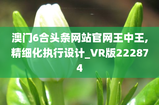 澳门6合头条网站官网王中王,精细化执行设计_VR版222874