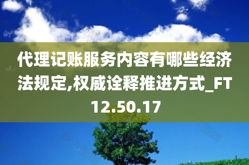 代理记账服务内容有哪些经济法规定,权威诠释推进方式_FT12.50.17