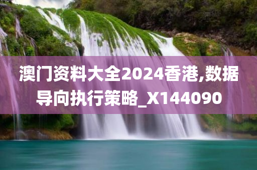 澳门资料大全2024香港,数据导向执行策略_X144090