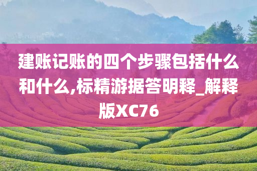 建账记账的四个步骤包括什么和什么,标精游据答明释_解释版XC76