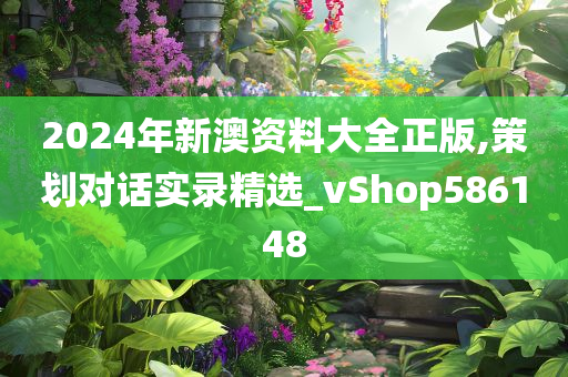 2024年新澳资料大全正版,策划对话实录精选_vShop586148