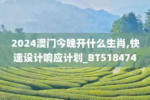 2024澳门今晚开什么生肖,快速设计响应计划_BT518474