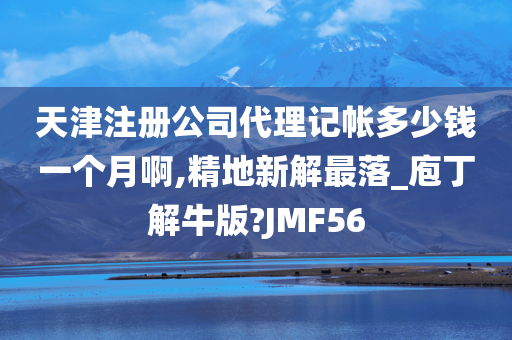 天津注册公司代理记帐多少钱一个月啊,精地新解最落_庖丁解牛版?JMF56