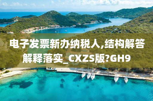 电子发票新办纳税人,结构解答解释落实_CXZS版?GH9