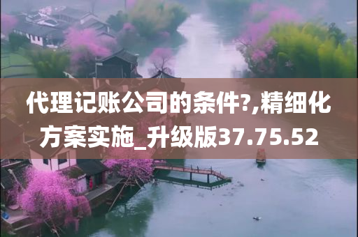 代理记账公司的条件?,精细化方案实施_升级版37.75.52