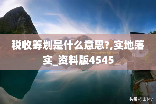 税收筹划是什么意思?,实地落实_资料版4545