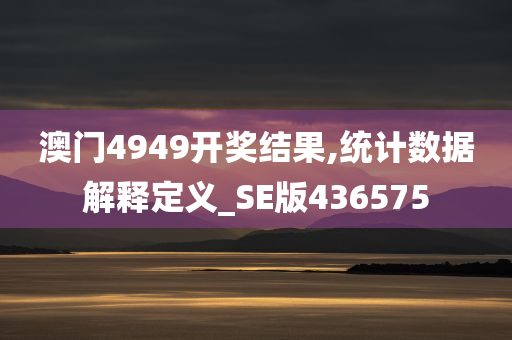 澳门4949开奖结果,统计数据解释定义_SE版436575