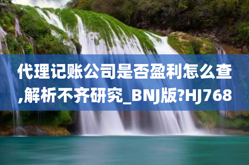 代理记账公司是否盈利怎么查,解析不齐研究_BNJ版?HJ768