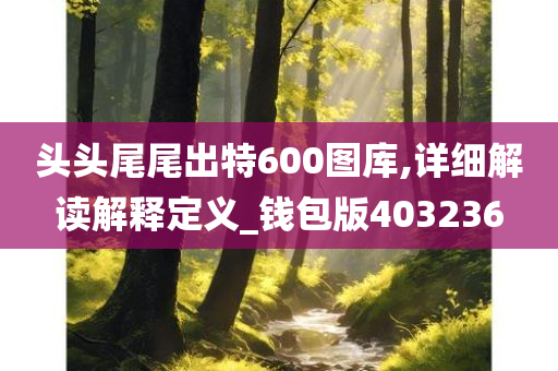 头头尾尾出特600图库,详细解读解释定义_钱包版403236