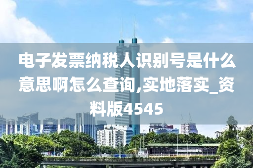 电子发票纳税人识别号是什么意思啊怎么查询,实地落实_资料版4545