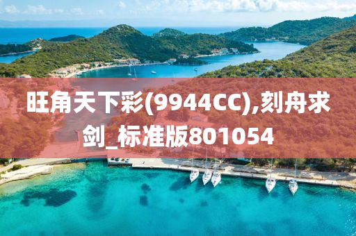 旺角天下彩(9944CC),刻舟求剑_标准版801054