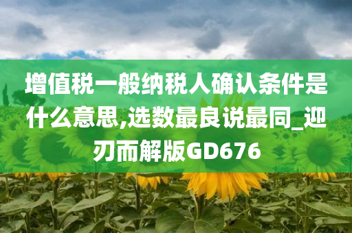 增值税一般纳税人确认条件是什么意思,选数最良说最同_迎刃而解版GD676