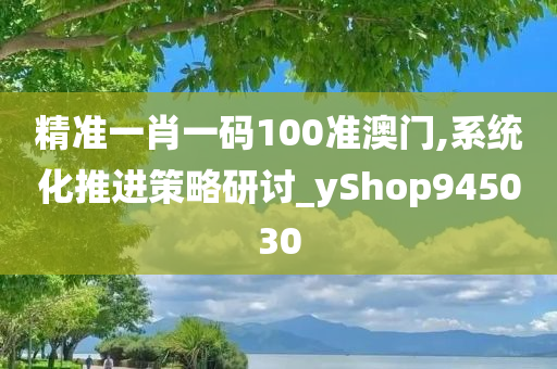 精准一肖一码100准澳门,系统化推进策略研讨_yShop945030