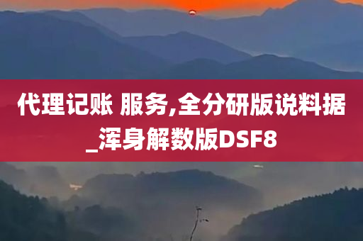 代理记账 服务,全分研版说料据_浑身解数版DSF8