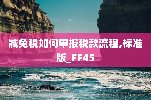 减免税如何申报税款流程,标准版_FF45