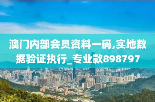 澳门内部会员资料一码,实地数据验证执行_专业款898797