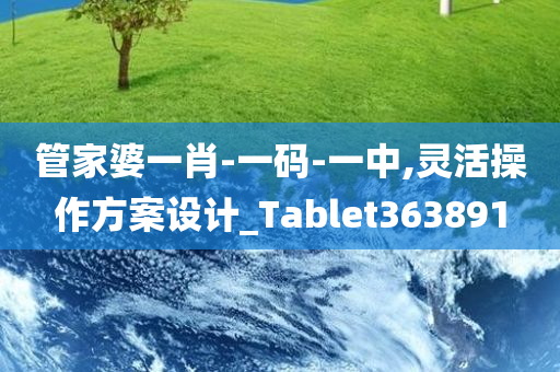 管家婆一肖-一码-一中,灵活操作方案设计_Tablet363891