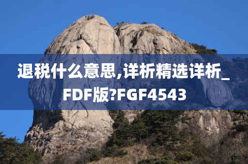 退税什么意思,详析精选详析_FDF版?FGF4543