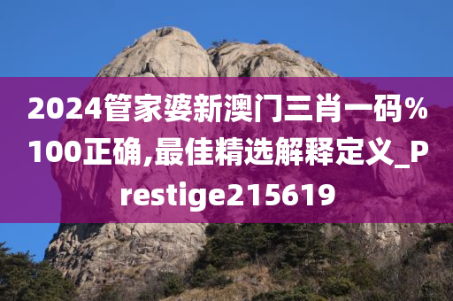 2024管家婆新澳门三肖一码%100正确,最佳精选解释定义_Prestige215619