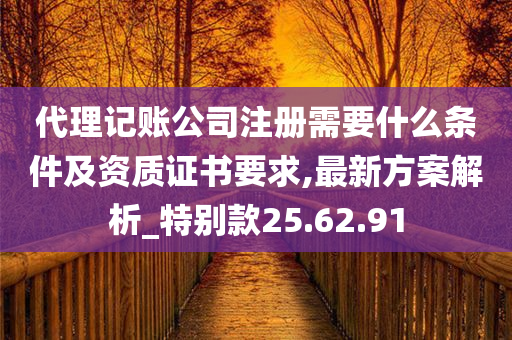 代理记账公司注册需要什么条件及资质证书要求,最新方案解析_特别款25.62.91