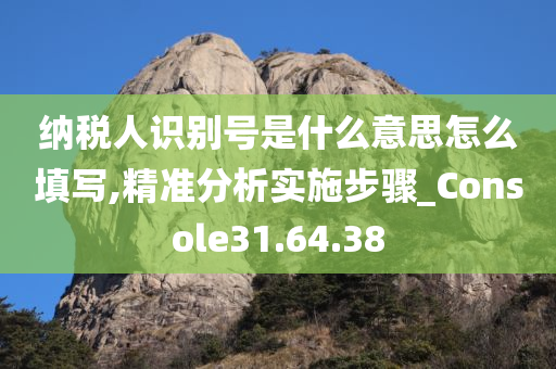 纳税人识别号是什么意思怎么填写,精准分析实施步骤_Console31.64.38