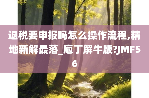 退税要申报吗怎么操作流程,精地新解最落_庖丁解牛版?JMF56