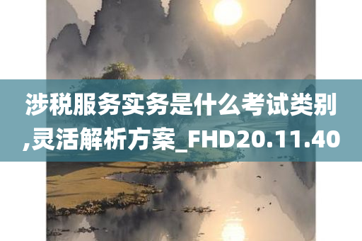 涉税服务实务是什么考试类别,灵活解析方案_FHD20.11.40