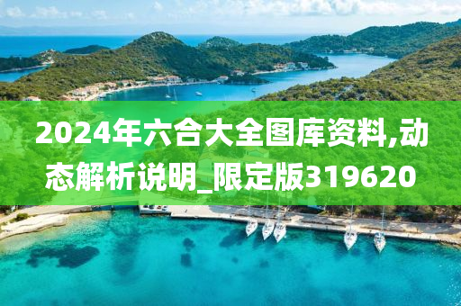 2024年六合大全图库资料,动态解析说明_限定版319620