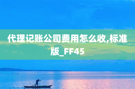 代理记账公司费用怎么收,标准版_FF45