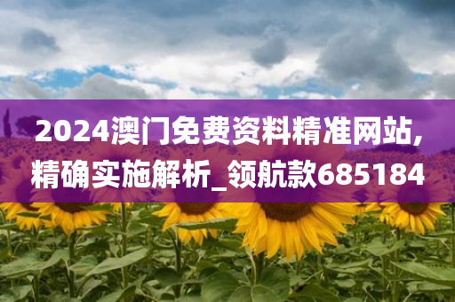 2024澳门免费资料精准网站,精确实施解析_领航款685184