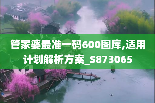 管家婆最准一码600图库,适用计划解析方案_S873065