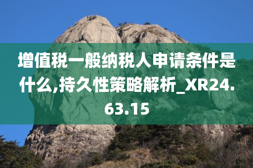 增值税一般纳税人申请条件是什么,持久性策略解析_XR24.63.15