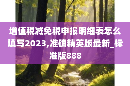 增值税减免税申报明细表怎么填写2023,准确精英版最新_标准版888