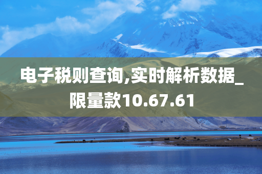 电子税则查询,实时解析数据_限量款10.67.61