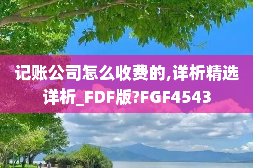 记账公司怎么收费的,详析精选详析_FDF版?FGF4543