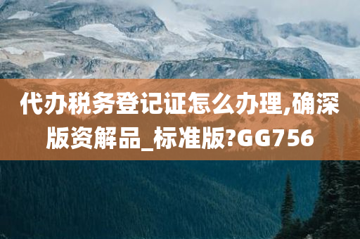 代办税务登记证怎么办理,确深版资解品_标准版?GG756