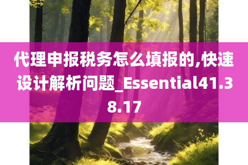 代理申报税务怎么填报的,快速设计解析问题_Essential41.38.17