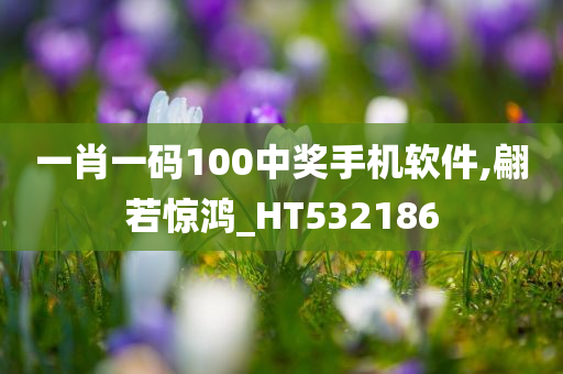 一肖一码100中奖手机软件,翩若惊鸿_HT532186